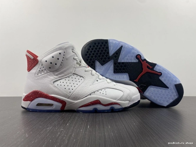Rep Retro 6 Hare Jordan CT8529-162 0629